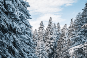 Winterfest Celebration & Coat Giveaway